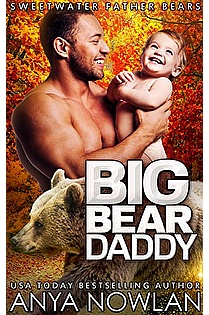 Big Bear Daddy ebook cover