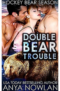 Double Bear Trouble ebook cover