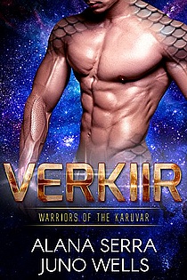 Verkiir ebook cover