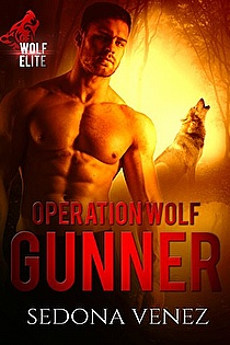 Operation Wolf: Gunner ebook cover