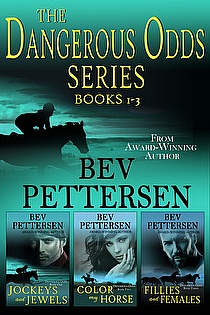 Dangerous Odds   ebook cover