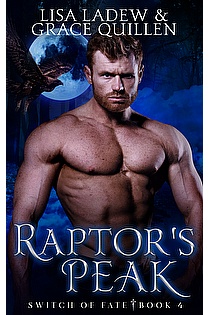 Switch of Fate 4 ebook cover
