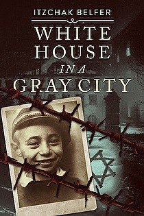 White House in a Gray City ebook cover