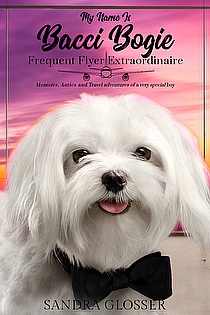 My Name Is Bacci Bogie:Frequent Flyer Extraordinaire ebook cover
