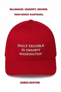 Bigly Trouble in Swampy Washington ebook cover