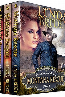 Echo Canyon Brides Box Set ebook cover