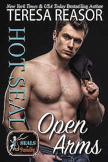 Hot SEAL, Open Arms ebook cover