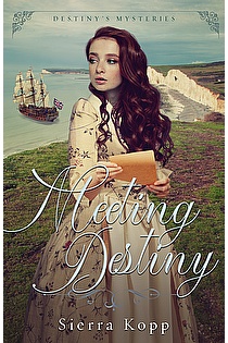 Meeting Destiny ebook cover