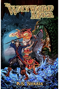The Wayward Mage: The Adventures of Jack Wartnose ebook cover