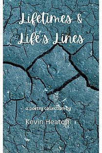 Lifetimes & Life's Lines ebook cover