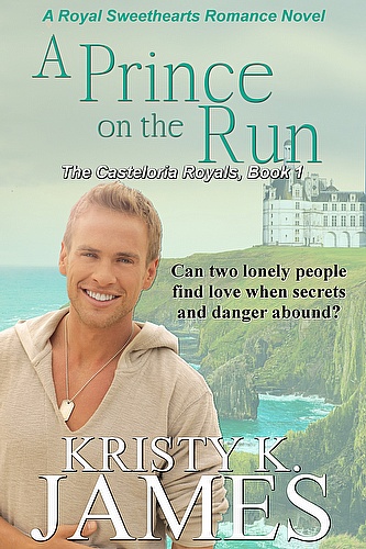 A Prince on the Run ebook cover