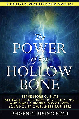 The Power of the Hollow Bone ebook cover