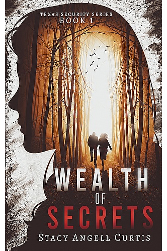 Wealth of Secrets (Texas Security Series Book 1) ebook cover